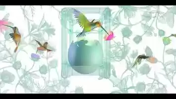 Free download Humming Birds video and edit with RedcoolMedia movie maker MovieStudio video editor online and AudioStudio audio editor onlin