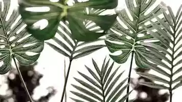 Free download Hymn #196 - All Glory Laud and Honor video and edit with RedcoolMedia movie maker MovieStudio video editor online and AudioStudio audio editor onlin