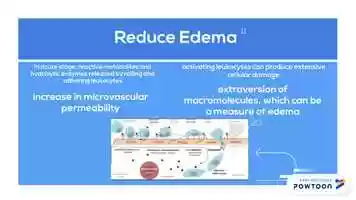 Free download Ice2**** video and edit with RedcoolMedia movie maker MovieStudio video editor online and AudioStudio audio editor onlin