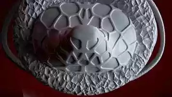 Free download ID4_SS20_ReinPascal_Animation video and edit with RedcoolMedia movie maker MovieStudio video editor online and AudioStudio audio editor onlin