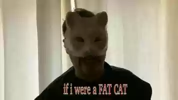 Free download if i were a fat cat video and edit with RedcoolMedia movie maker MovieStudio video editor online and AudioStudio audio editor onlin