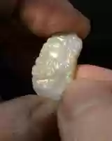 Free download IG-opal-cameo-jim-black-bgrd video and edit with RedcoolMedia movie maker MovieStudio video editor online and AudioStudio audio editor onlin