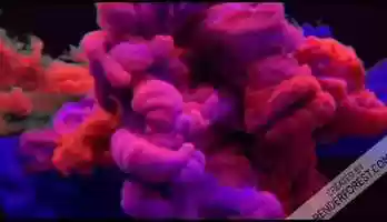 Free download I HATE THE BOSSES video and edit with RedcoolMedia movie maker MovieStudio video editor online and AudioStudio audio editor onlin