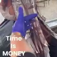 Free download IMG_1195.MP4 video and edit with RedcoolMedia movie maker MovieStudio video editor online and AudioStudio audio editor onlin