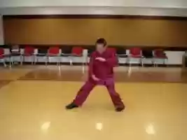 Free download Importance of Waist Rotation in Taijiquan Movements -- Part 5 video and edit with RedcoolMedia movie maker MovieStudio video editor online and AudioStudio audio editor onlin