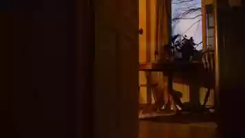 Free download INDOORS video and edit with RedcoolMedia movie maker MovieStudio video editor online and AudioStudio audio editor onlin