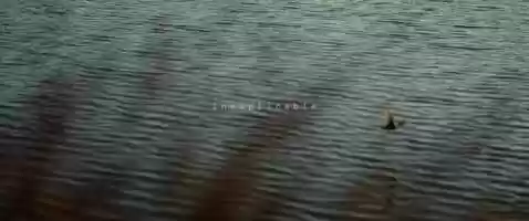 Free download inexplicable - Short Film (4k version) video and edit with RedcoolMedia movie maker MovieStudio video editor online and AudioStudio audio editor onlin