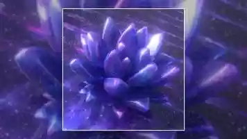 Free download Infinite Blꝏms // Galaxy Succulent video and edit with RedcoolMedia movie maker MovieStudio video editor online and AudioStudio audio editor onlin