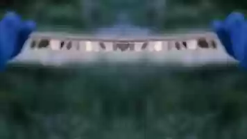 Free download infinite ecologies video and edit with RedcoolMedia movie maker MovieStudio video editor online and AudioStudio audio editor onlin