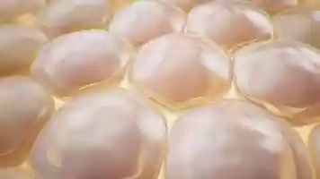 Free download Inflating cell animation video and edit with RedcoolMedia movie maker MovieStudio video editor online and AudioStudio audio editor onlin