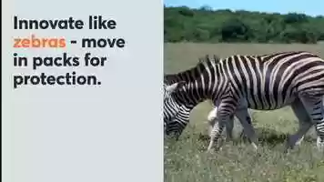 Free download Innovate like Zebras  Move in Packs for Protection video and edit with RedcoolMedia movie maker MovieStudio video editor online and AudioStudio audio editor onlin