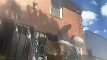 Free download Installation - Backyard Basketball.mp4 video and edit with RedcoolMedia movie maker MovieStudio video editor online and AudioStudio audio editor onlin