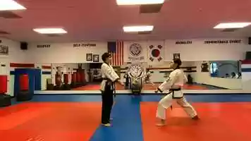 Free download Intermediate- One Step Sparring Techniques #11 - 15 video and edit with RedcoolMedia movie maker MovieStudio video editor online and AudioStudio audio editor onlin