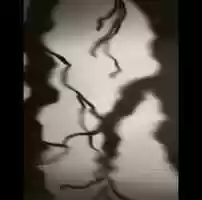 Free download INTERNal Reflections Exhibit video and edit with RedcoolMedia movie maker MovieStudio video editor online and AudioStudio audio editor onlin