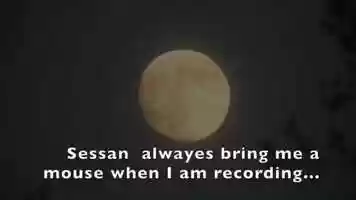 Free download In the bar2 video and edit with RedcoolMedia movie maker MovieStudio video editor online and AudioStudio audio editor onlin