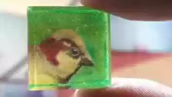 Free download In the thicket, where bird sing - VASL x ALIEL 2020 video and edit with RedcoolMedia movie maker MovieStudio video editor online and AudioStudio audio editor onlin