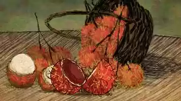 Free download Into The Vault: The Hunt For The Perfect Rambutan (Animated Sequence) video and edit with RedcoolMedia movie maker MovieStudio video editor online and AudioStudio audio editor onlin