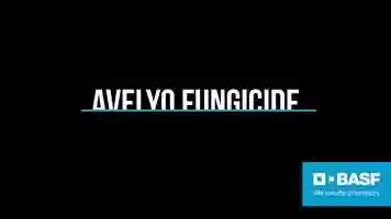 Free download Introducing Avelyo Fungicide video and edit with RedcoolMedia movie maker MovieStudio video editor online and AudioStudio audio editor onlin