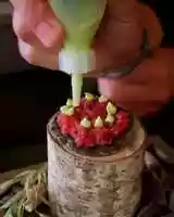 Free download Intro - Variation 1 - Long with hook - Still Life video and edit with RedcoolMedia movie maker MovieStudio video editor online and AudioStudio audio editor onlin