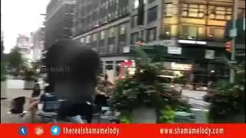 Free download Intro Video - Shama Melody - The Real Bongo Artist video and edit with RedcoolMedia movie maker MovieStudio video editor online and AudioStudio audio editor onlin