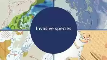 Free download Invasive species: Hitching a ride video and edit with RedcoolMedia movie maker MovieStudio video editor online and AudioStudio audio editor onlin