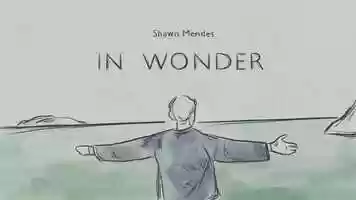 Free download In Wonder-Shawn Mendes video and edit with RedcoolMedia movie maker MovieStudio video editor online and AudioStudio audio editor onlin