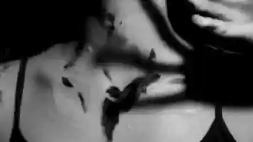 Free download ipseity: selfhood video and edit with RedcoolMedia movie maker MovieStudio video editor online and AudioStudio audio editor onlin