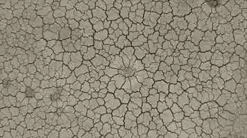 Free download Irvine, CA www.bEpic.com B-Successful Elev8 Life-Changing Product | Coming to: TX TN SD SC RI PA OR | video and edit with RedcoolMedia movie maker MovieStudio video editor online and AudioStudio audio editor onlin