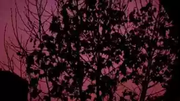 Free download Isabel video and edit with RedcoolMedia movie maker MovieStudio video editor online and AudioStudio audio editor onlin