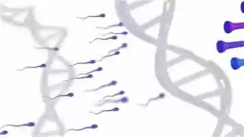 Free download Isologo institucional / Selectivity life / 3d animation video and edit with RedcoolMedia movie maker MovieStudio video editor online and AudioStudio audio editor onlin