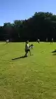 Free download It was sports day today at my school video and edit with RedcoolMedia movie maker MovieStudio video editor online and AudioStudio audio editor onlin