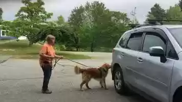 Free download Jaceys vehicle searches 1 and 2 video and edit with RedcoolMedia movie maker MovieStudio video editor online and AudioStudio audio editor onlin