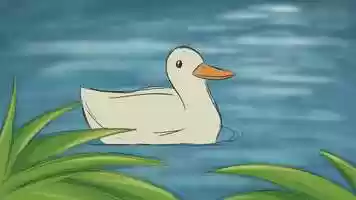 Free download Jackrabbit video and edit with RedcoolMedia movie maker MovieStudio video editor online and AudioStudio audio editor onlin