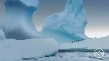 Free download Jackson Wild Media Awards Finalist Trailer 2021 video and edit with RedcoolMedia movie maker MovieStudio video editor online and AudioStudio audio editor onlin