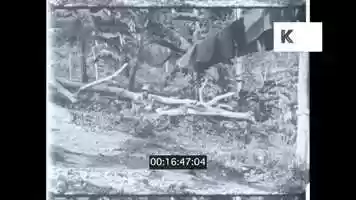 Free download Jamaican Man Eating Breadfruit, from 1967, HD video and edit with RedcoolMedia movie maker MovieStudio video editor online and AudioStudio audio editor onlin