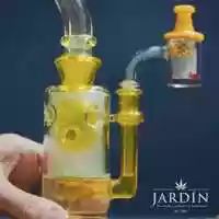 Free download Jardin: Dab Education #1 video and edit with RedcoolMedia movie maker MovieStudio video editor online and AudioStudio audio editor onlin