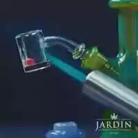 Free download Jardin: Dab Education #5 video and edit with RedcoolMedia movie maker MovieStudio video editor online and AudioStudio audio editor onlin