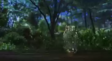 Free download Jar Firefly Animation video and edit with RedcoolMedia movie maker MovieStudio video editor online and AudioStudio audio editor onlin