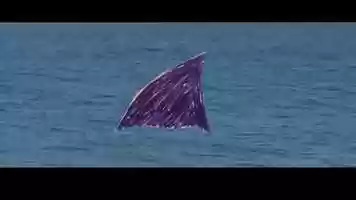 Free download JAWS 5 Trailer video and edit with RedcoolMedia movie maker MovieStudio video editor online and AudioStudio audio editor onlin