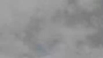 Free download Jazz (Timber Sale) by Jodie Cavalier (segment) video and edit with RedcoolMedia movie maker MovieStudio video editor online and AudioStudio audio editor onlin