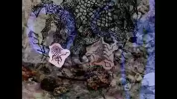 Free download Jefferson Park EXP August 23, 2020. Set 1. florconvenas. video and edit with RedcoolMedia movie maker MovieStudio video editor online and AudioStudio audio editor onlin