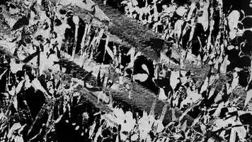 Free download Jesus Loves Superstitious Sharks (2020) video and edit with RedcoolMedia movie maker MovieStudio video editor online and AudioStudio audio editor onlin