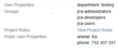 Download web tool or web app JIRA Public User Properties