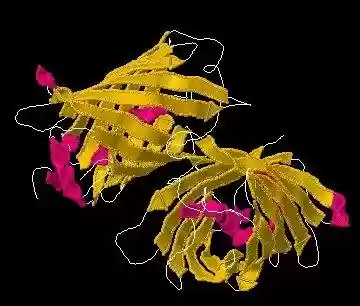 Download web tool or web app Jmol Download web tool or web app Jmol