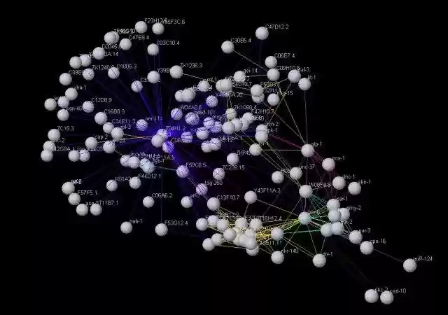 Download web tool or web app JnetPlus