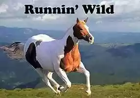 Free download John Stea - Runnin Wild (Instrumental) video and edit with RedcoolMedia movie maker MovieStudio video editor online and AudioStudio audio editor onlin