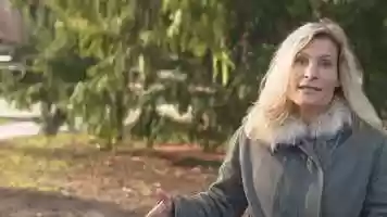 Free download Join the futurist movement video and edit with RedcoolMedia movie maker MovieStudio video editor online and AudioStudio audio editor onlin