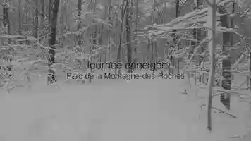 Free download Journe enneige | Snowy Day video and edit with RedcoolMedia movie maker MovieStudio video editor online and AudioStudio audio editor onlin