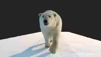 Free download Juice | MILKANA Polar Bear  breakdown video and edit with RedcoolMedia movie maker MovieStudio video editor online and AudioStudio audio editor onlin