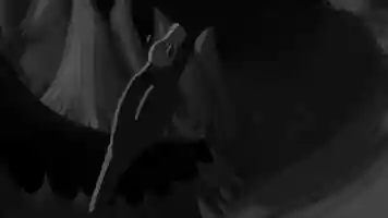 Free download Julia Malinowska - 2D Animation Showreel 2021 video and edit with RedcoolMedia movie maker MovieStudio video editor online and AudioStudio audio editor onlin